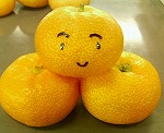 mikan.jpg